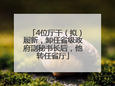 4位厅干（拟）履新，卸任省级政府副秘书长后，他转任省厅
