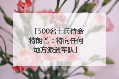 500名士兵待命 特朗普：将向任何地方派遣军队