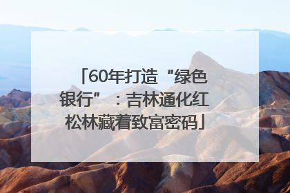 60年打造“绿色银行”：吉林通化红松林藏着致富密码