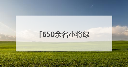 650余名小将绿茵争锋，市青少年足球锦标赛落幕