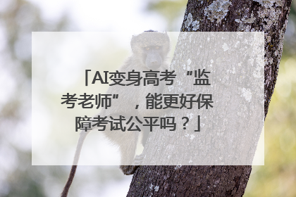 AI变身高考“监考老师”，能更好保障考试公平吗？