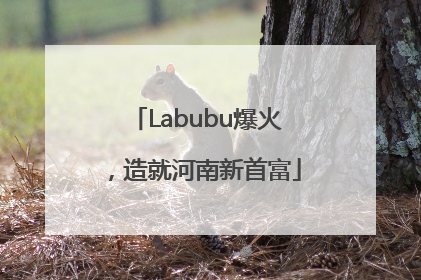 Labubu爆火，造就河南新首富