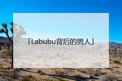 Labubu背后的男人