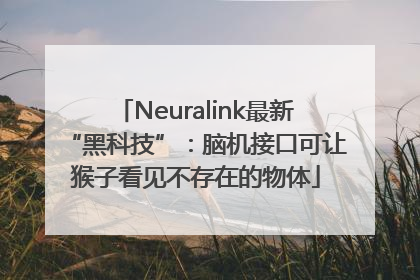 Neuralink最新“黑科技”：脑机接口可让猴子看见不存在的物体