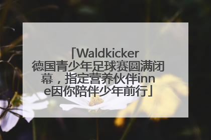 Waldkicker德国青少年足球赛圆满闭幕，指定营养伙伴inne因你陪伴少年前行