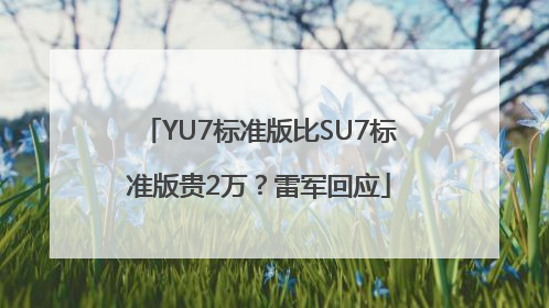 YU7标准版比SU7标准版贵2万？雷军回应
