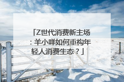 Z世代消费新主场：羊小咩如何重构年轻人消费生态？